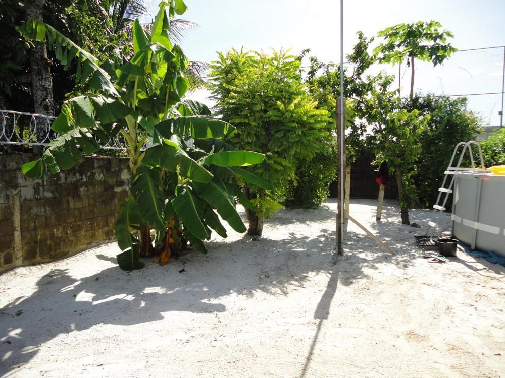 Oranjelaan 51 Bed and Breakfast Paramaribo Buitenkant foto